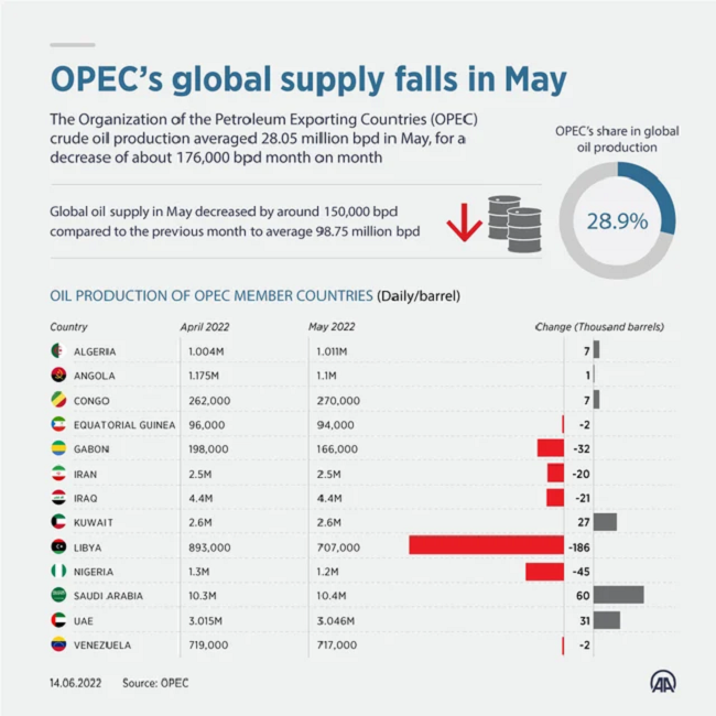 
Nguồn cung toàn cầu của OPEC giảm vào tháng 5
