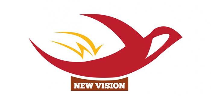 



Vài nét sơ lược về công ty New Vision&nbsp;

