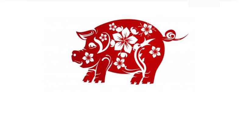 
Nữ mệnh sinh năm Tân Hợi 1971 có tính cách rất dễ chịu và luôn sẵn sàng giúp đỡ những người xung quanh
