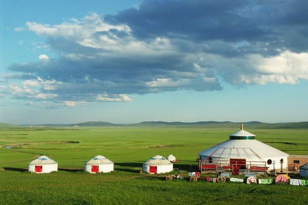 
Thảo nguyên Ordos ở Nội Mông với những cánh đồng cỏ xanh bất tận

