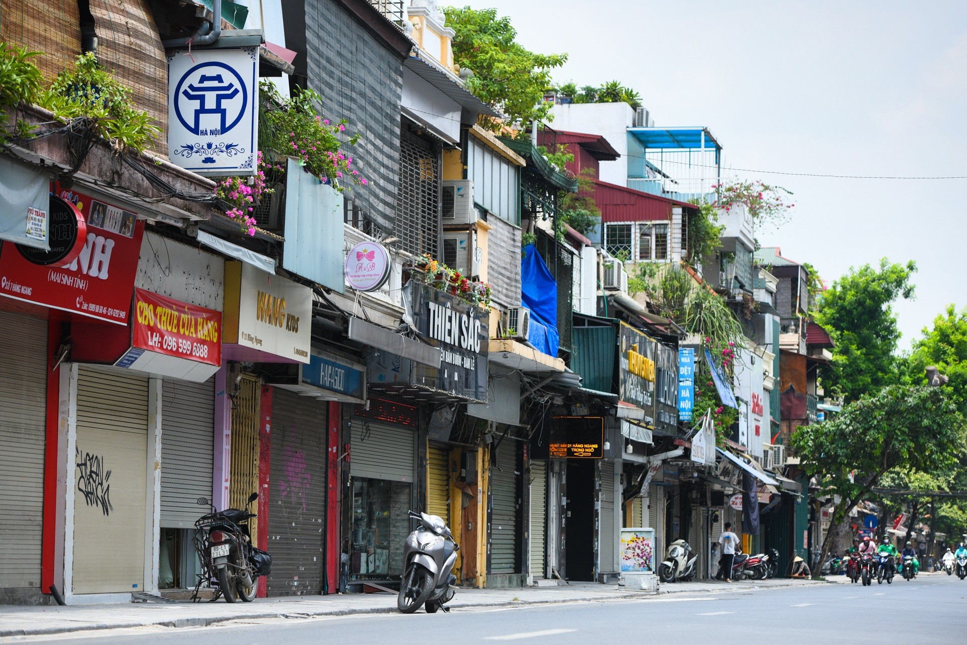 
Đà Nẵng, Đồng Nai, Bình Dương, Long An, Khánh Hòa, Hải Phòng,... đều có tốc độ phục hồi nhu cầu BĐS cho thuê nhanh chóng
