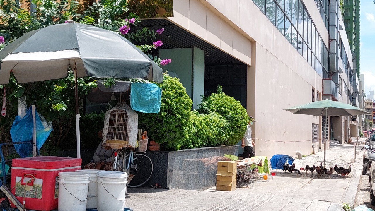 


Người dân bán hàng rong, nuôi gà ngay mặt tiền của Thuận Kiều Plaza
