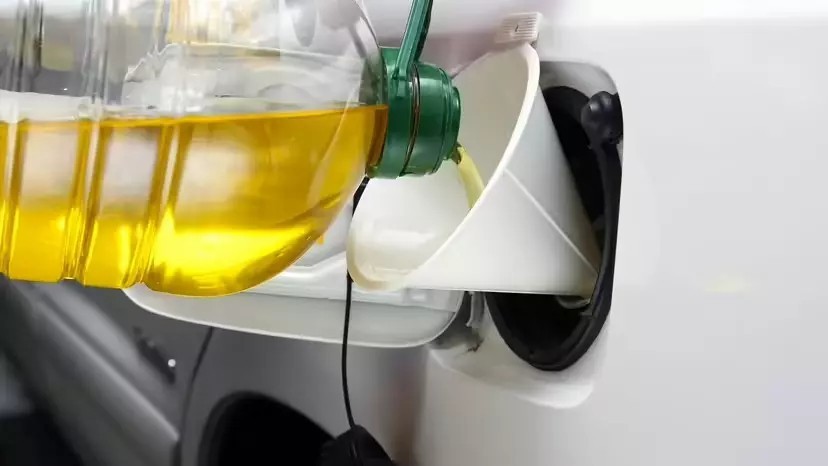 
Dù chi phí sử dụng dầu thực vật không thấp hơn nhiều so với dầu diesel nhưng nhiều người vẫn bất chấp để sử dụng
