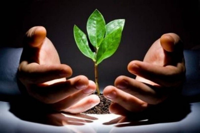 Giá trị cốt lõi của doanh nghiệp ở hiện tại và tương lai