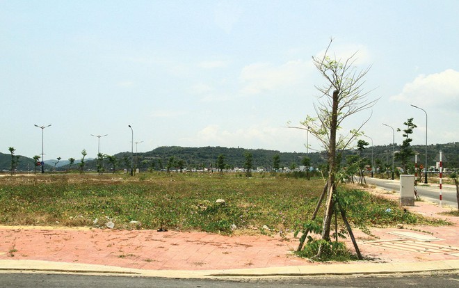
Công ty An Cư Sài Gòn đầu tư từ khu nhà ở đến công viên, cây xanh
