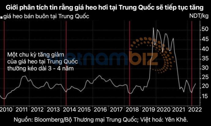 Trung Quốc có thể sắp đối mặt “cơn bão” lạm phát vì giá thịt heo đang tăng mạnh - ảnh 2