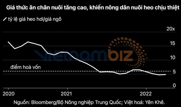 Trung Quốc có thể sắp đối mặt “cơn bão” lạm phát vì giá thịt heo đang tăng mạnh - ảnh 4