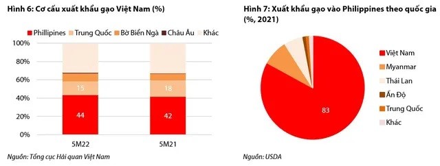 
Cơ cấu xuất khẩu gạo Việt Nam
