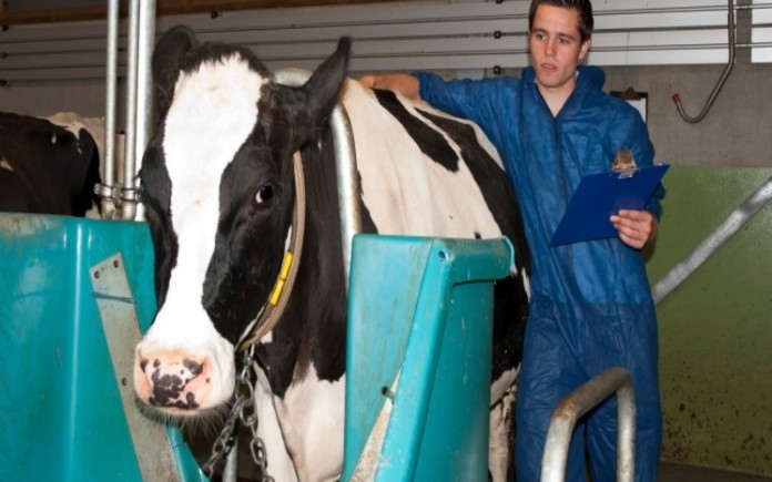 
Kỹ sư chăn nuôi yêu cầu kinh nghiệm từ 4 - 16 năm với mức lương hấp dẫn
