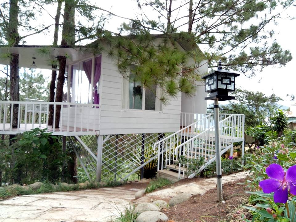 Ảnh sưu tầm