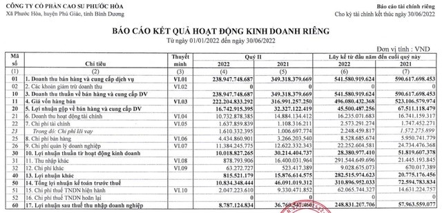 
Báo cáo kết quả hoạt động kinh doanh riêng
