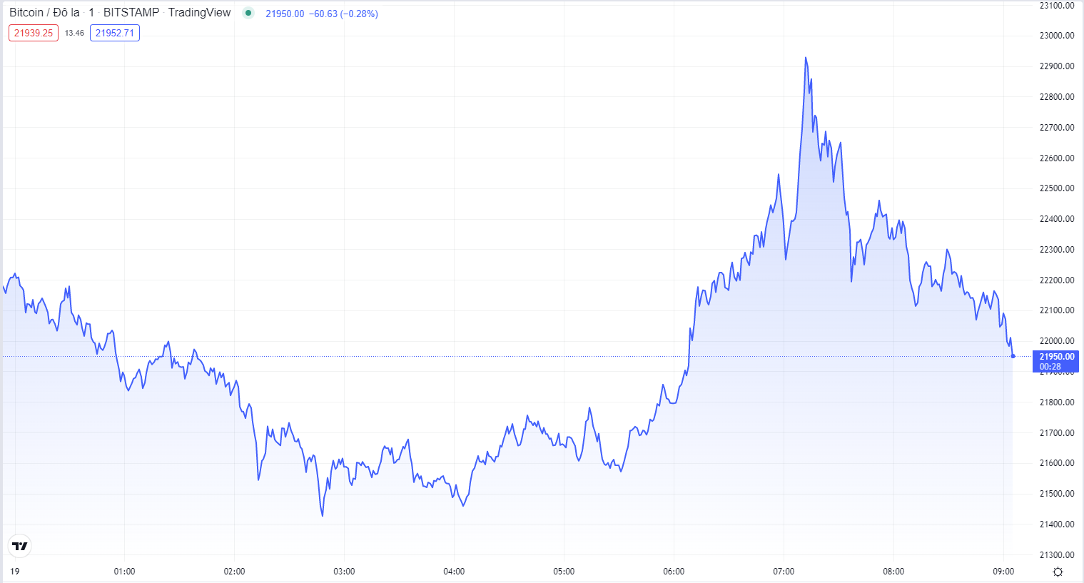 
Diễn biến giá Bitcoin hôm nay 19/7. Nguồn TradingView
