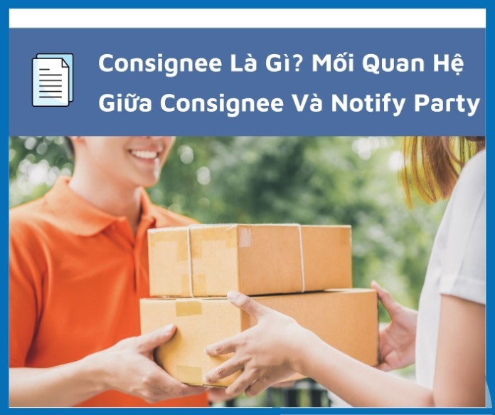 
Consignee là gì và cnee là gì?
