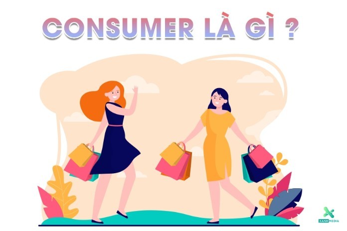 
Consumer là gì
