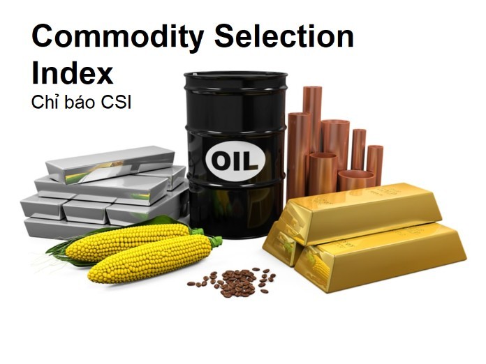
CSI - đồng hành cùng sự phát triển của các doanh nghiệp&nbsp;
