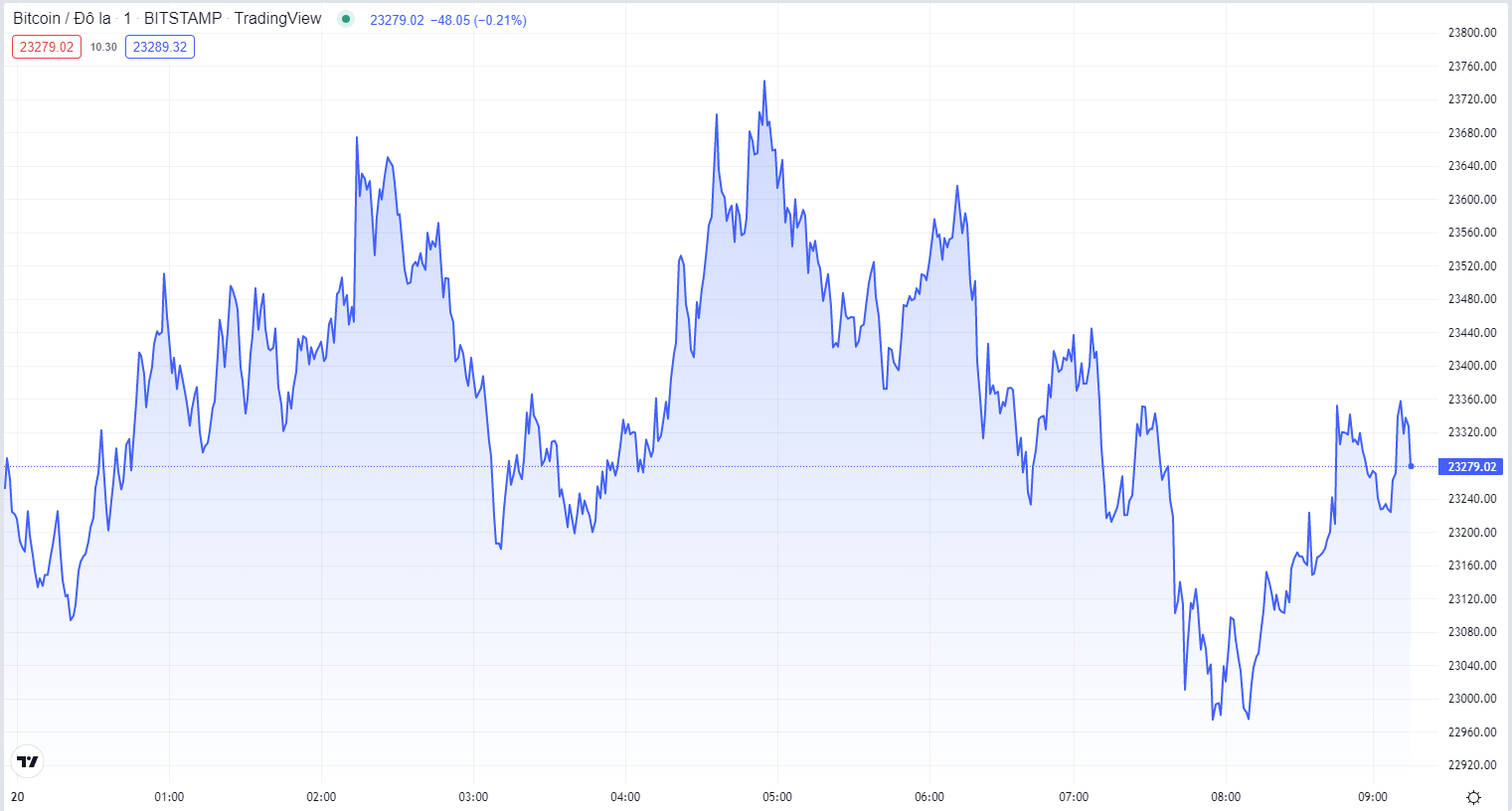 
Diễn biến giá Bitcoin hôm nay 20/7. Nguồn TradingView
