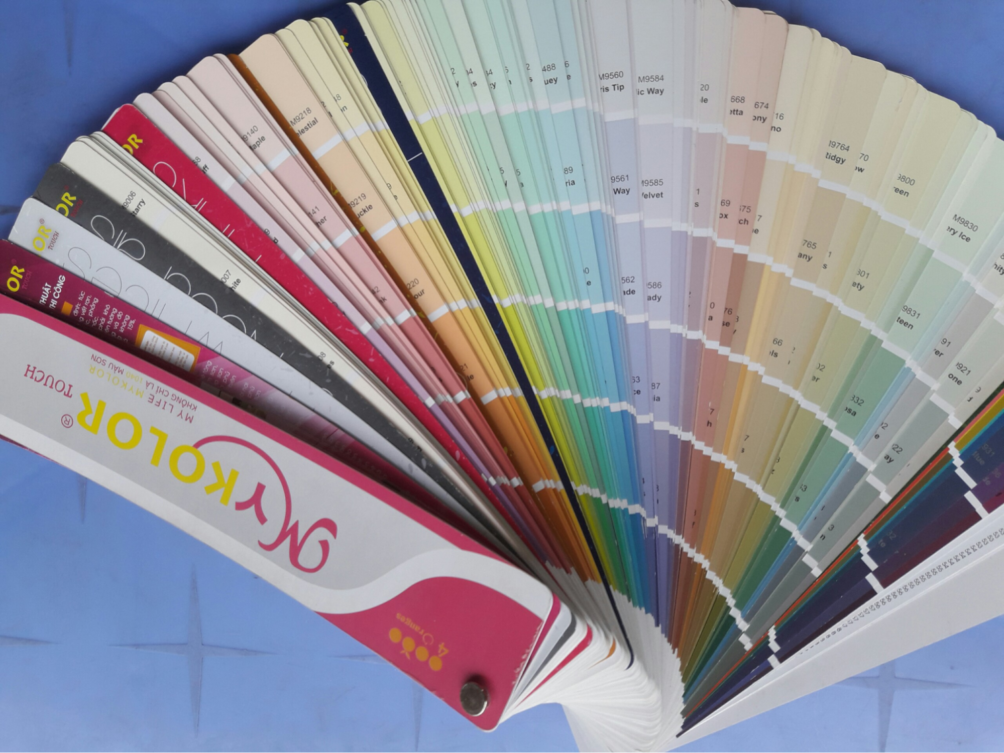 Bảng màu Mykolor đa dạng, phong phú