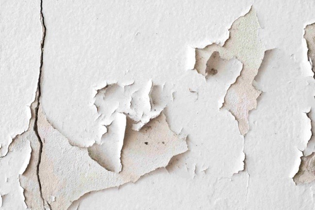 Độ ẩm tường cao làm xuất hiện hiện tượng