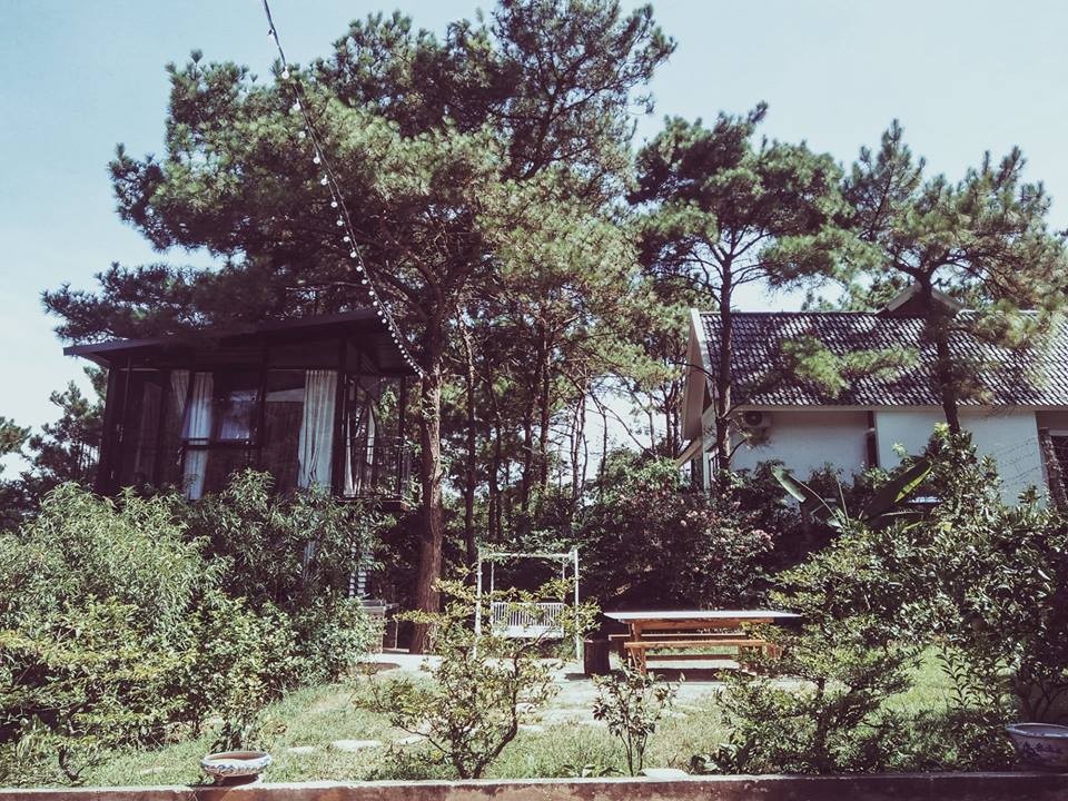 


Chipmunk homestay còn được bao quanh bởi những thảm cỏ xanh mượt và cây cối thơm ngát. Ảnh sưu tầm
