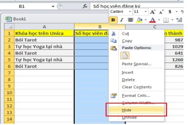 Hướng dẫn cách ẩn dòng, cột trong Excel hiệu quả - ảnh 3