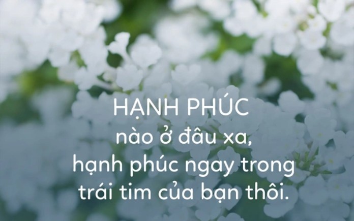 
Bạn đã thực sự hạnh phúc chưa?
