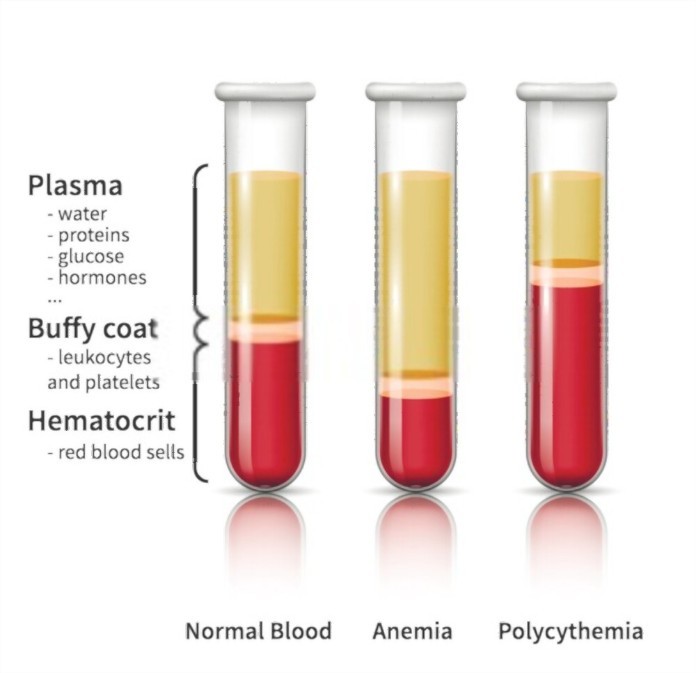 
Khái niệm của Hematocrit&nbsp;
