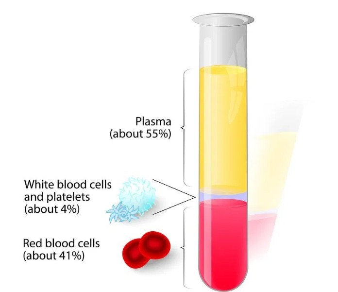 
Công thức liên quan đến chỉ số Hematocrit
