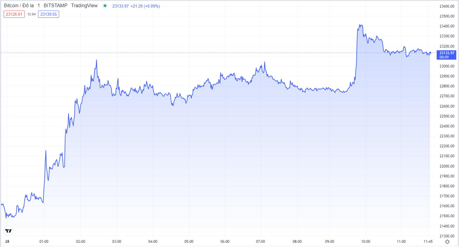 
Diễn biến giá Bitcoin hôm nay 28/7. Nguồn TradingView
