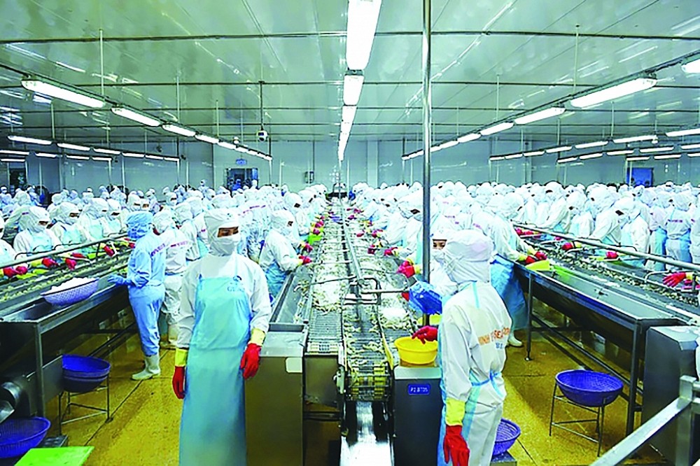 
Minh Phú Seafood đã tạo dựng cho riêng mình lợi thế từ việc xây dựng chuỗi giá trị sản xuất tôm với trách nhiệm cao nhất cũng như hệ thống quản lý theo quy trình khép kín toàn diện
