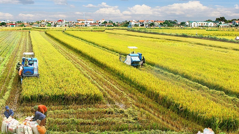 
Để khởi nghiệp mô hình kinh doanh nông nghiệp, người lao động có thể khởi động các mô hình nhỏ và vừa, với nguồn vốn nhỏ
