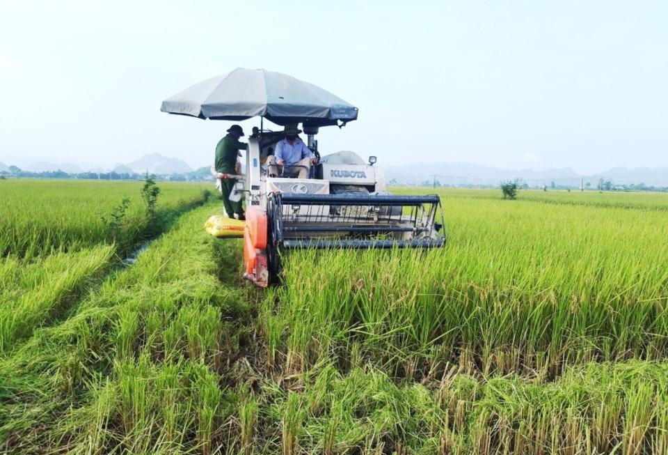 
Cơ hội nghề nghiệp của sinh viên theo đuổi ngành Kinh tế nông nghiệp
