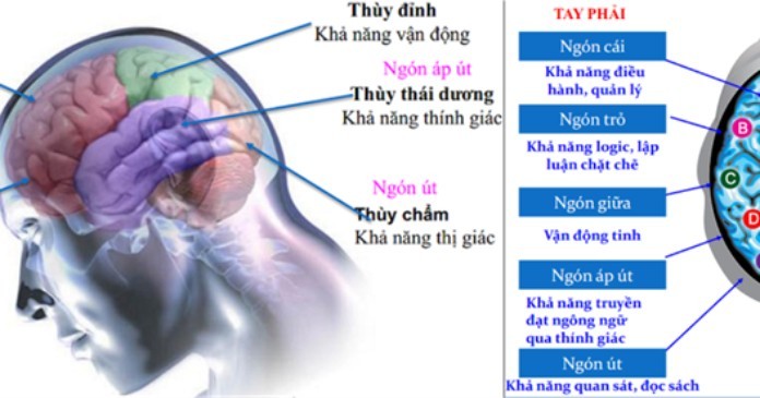 
Với cấp độ 40 - 45 độ bạn cần rèn luyện và lựa chọn phương pháp học phù hợp nhất với mình
