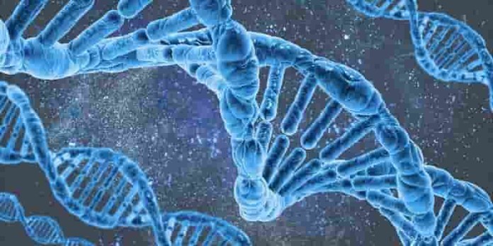 
Ngành sinh học phân tử chuyên nghiên cứu về các bộ gen như DNA, RNA&nbsp;
