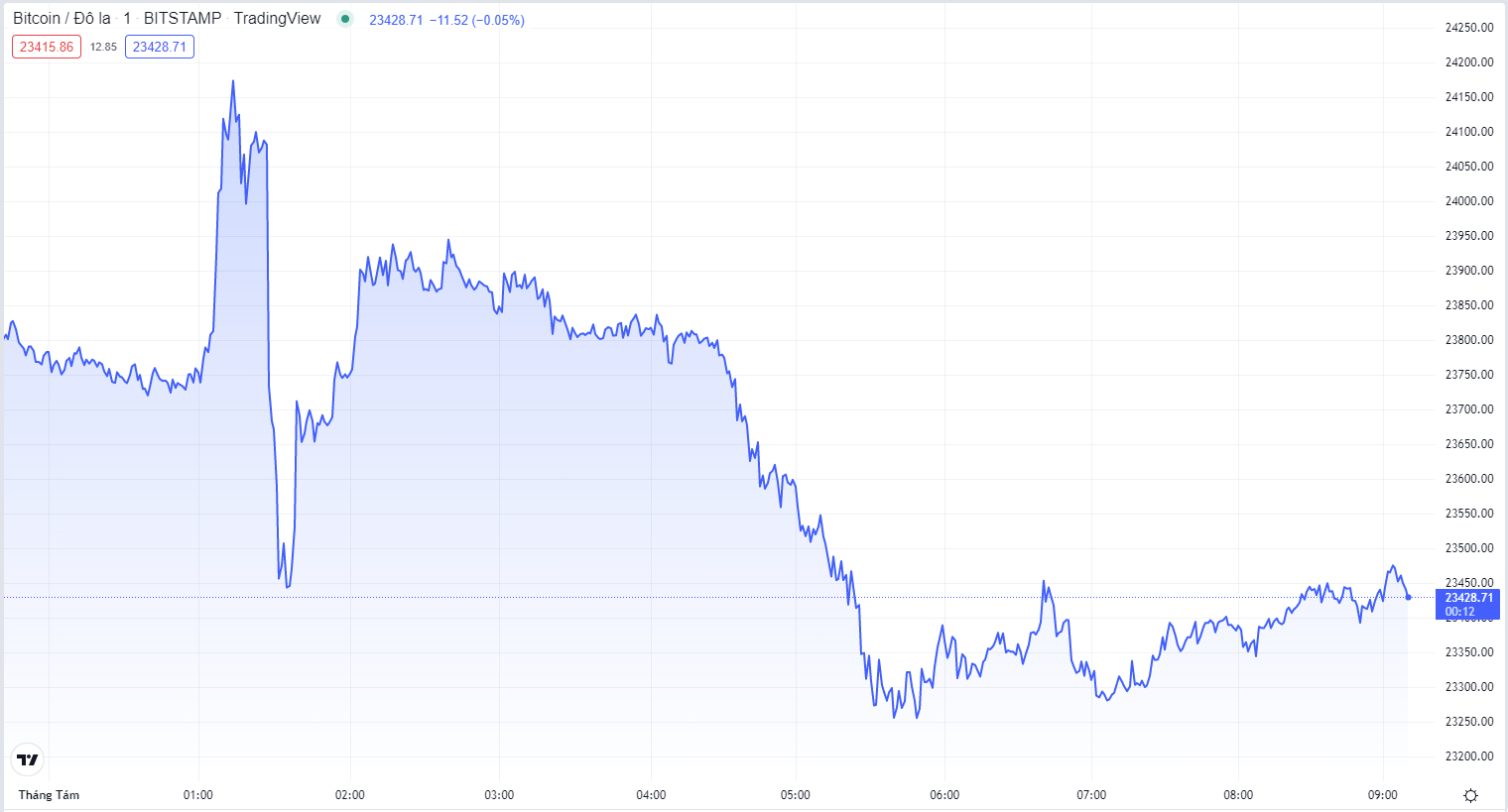 
Diễn biến giá Bitcoin hôm nay 1/8. Nguồn TradingView
