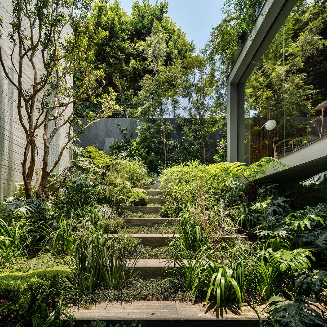 
Khu vườn tự nhiên tạo cho lối lên giữa tầng hầm với tầng 1 như là một khu rừng nhiệt đới nhỏ
