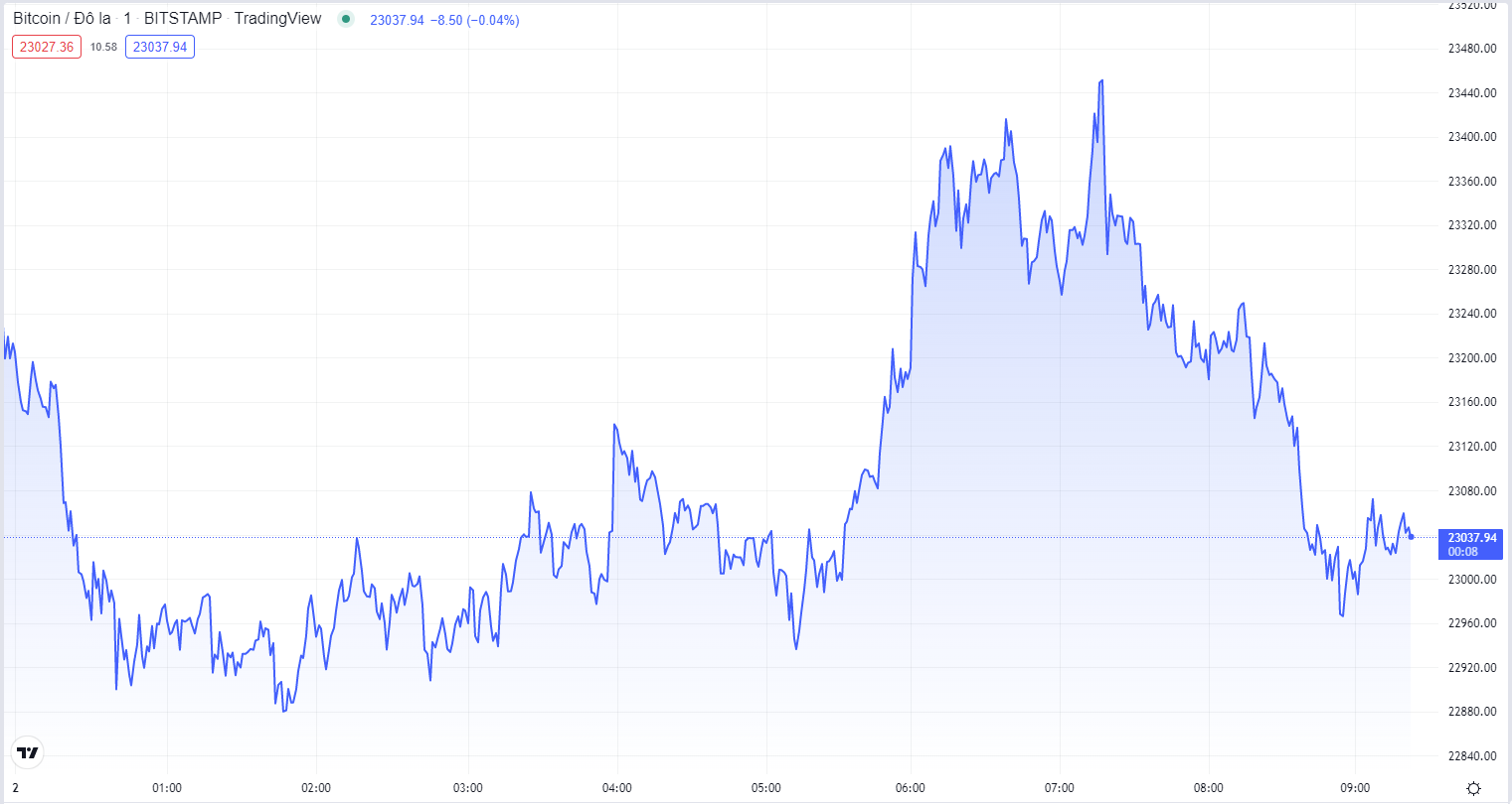 
Diễn biến giá Bitcoin hôm nay 2/8. Nguồn TradingView
