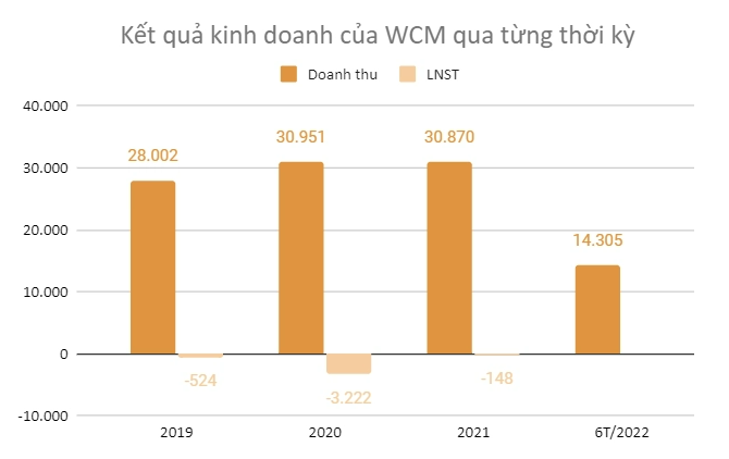 
Tính riêng trong quý 2 năm nay, doanh thu của WCM đã giảm nhẹ 3% so với cùng kỳ trong khi biên EBITDA cũng giảm xuống còn 2,2%
