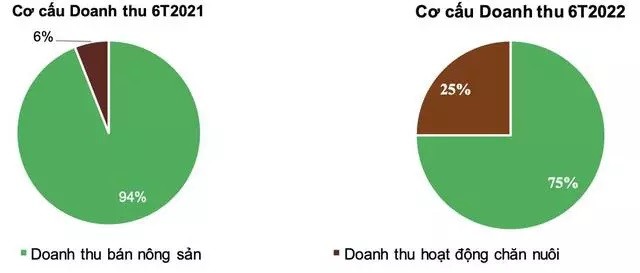 
Cơ cấu doanh thu
