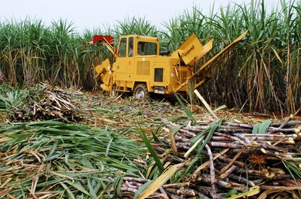 

Vào ngày 1/8, Bộ Công Thương cũng đã tiếp tục áp dụng thuế chống lẩn tránh biện pháp phòng vệ thương mại đối với một số sản phẩm mía đường được nhập khẩu từ Campuchia, Indonesia, Lào, Malaysia và Myanmar
