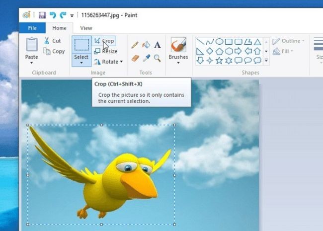 
Cách cắt hình trên máy tính bằng ứng dụng&nbsp;Microsoft Paint&nbsp;
