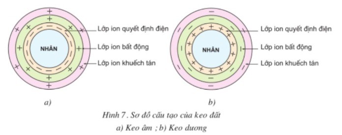 
Keo đất là gì?
