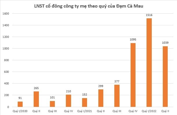 

LNST của cổ đông công ty mẹ theo quý của Đạm Cà Mau
