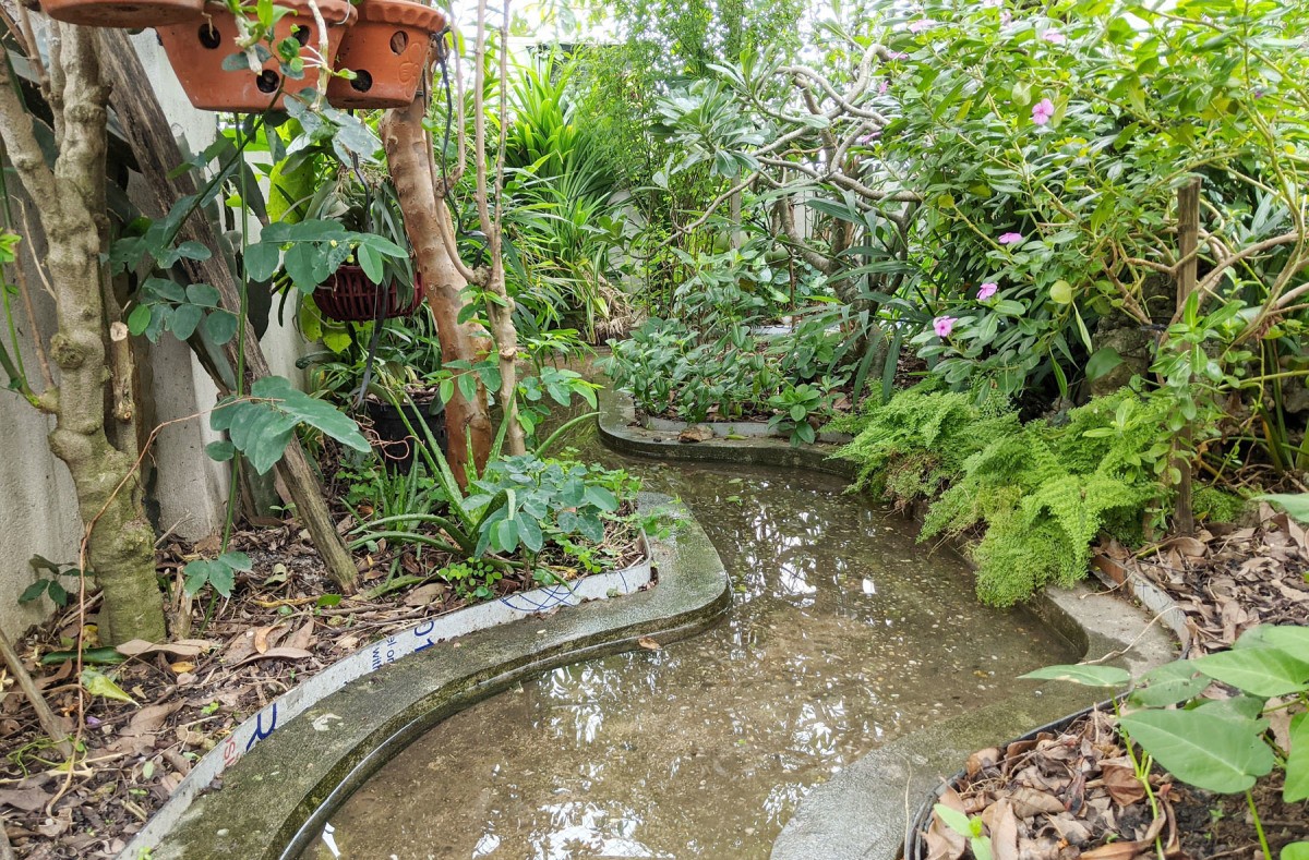 
Góc vườn với dòng suối nhỏ hài hòa với thảm thực vật xung quanh tạo nên bức tranh thiên nhiên xanh mát, thư thái
