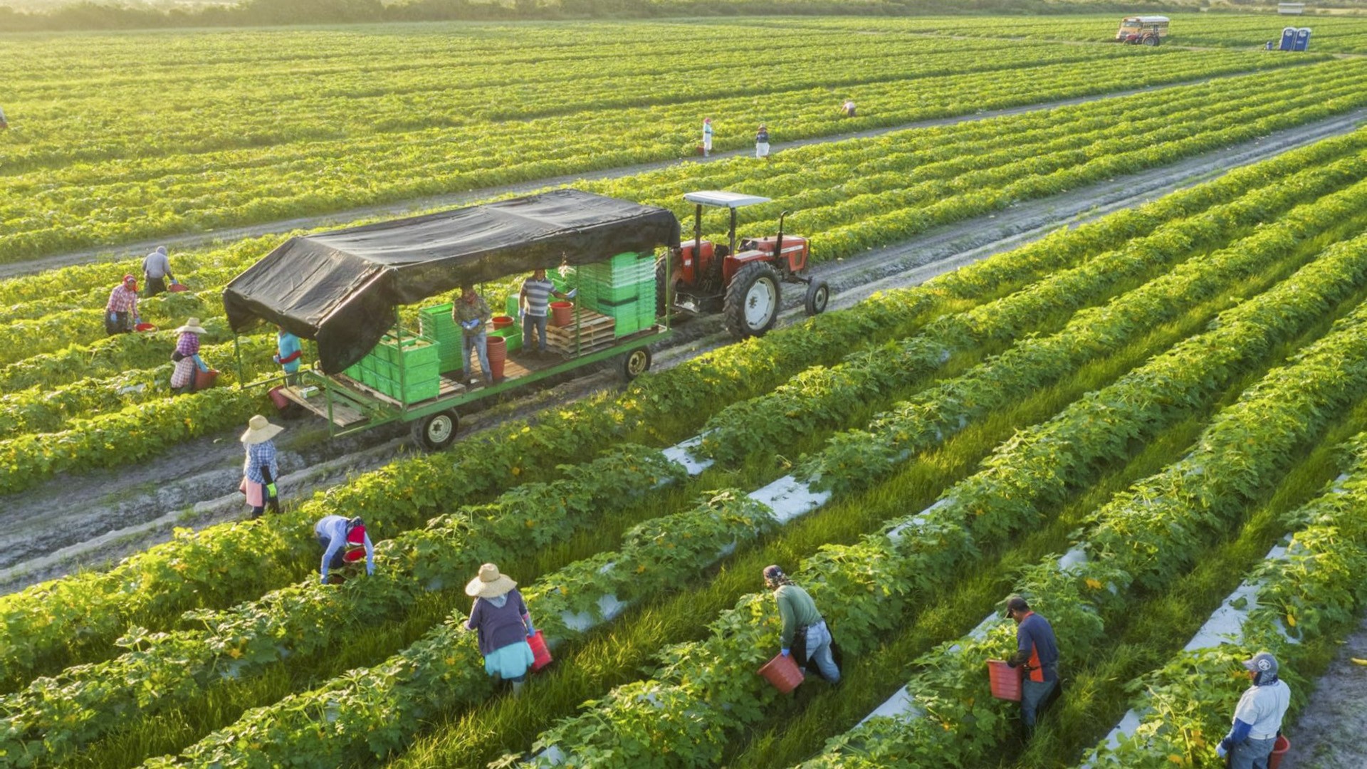 
Trong thực tế, lĩnh vực này vẫn được những đối tượng thuộc vùng nông thôn lựa chọn
