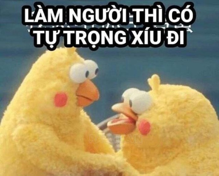 
Lòng tự trọng xuống thấp bạn cần phải tìm được nguyên nhân để giải quyết vấn đề
