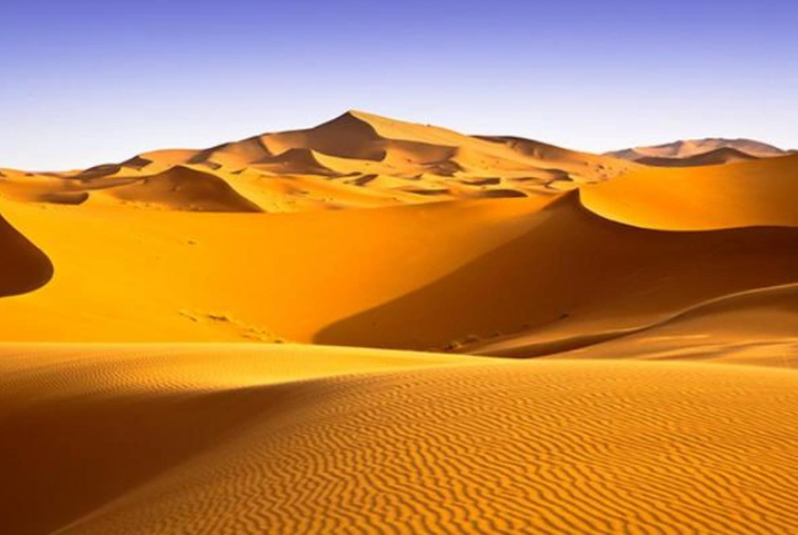 
Trên Trái đất, sa mạc chiếm tới 1/3 diện tích đất liền và được coi là những hệ sinh thái khô hạn nhất trên hành tinh
