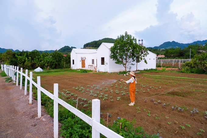 
Linh đã tự làm vườn và tưới nước cho vườn rau rộng 600m2 tại homestay của mình tại Bản Áng, Mộc Châu vào tháng 6/2022. Ảnh: NVCC
