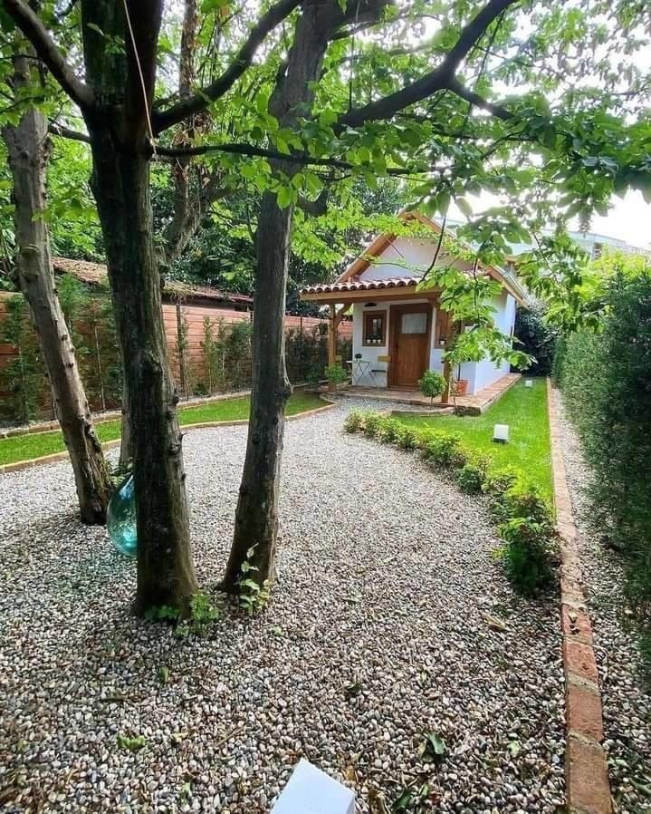Khoảng sân vườn sau nhà rải sỏi, có một số gốc cây lớn và bãi cỏ xanh mát