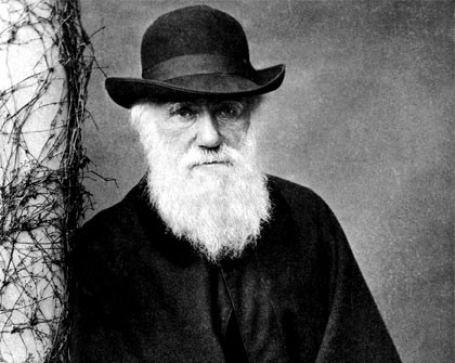 
Hai năm khảo thí ở nhiều mỏm đá tại Bahia Blanca, đã khiến cho Charles Darwin thu thập về rất nhiều chiến lợi phẩm vô cùng có giá trị. 
