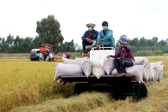 

Theo số liệu của Tổng cục Thống kê cho thấy, tính đến cuối tháng 6, lượng gạo xuất khẩu của cả nước đã đạt hơn 3,5 triệu tấn, so với cùng kỳ năm 2021 tăng 16,2% và thu về hơn 1,72 tỷ USD, tăng 4,6%

